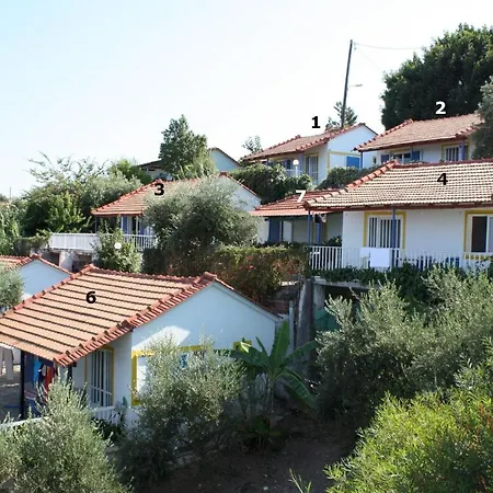 Paradies Nr 2